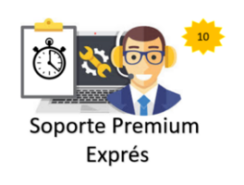 Paquete de 50 horas de soporte Premium
